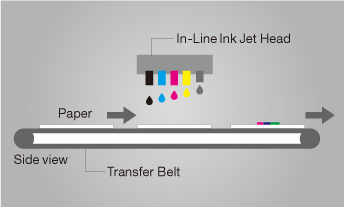 In-Line Ink Jet Head,Paper,Side view,Transfer Belt