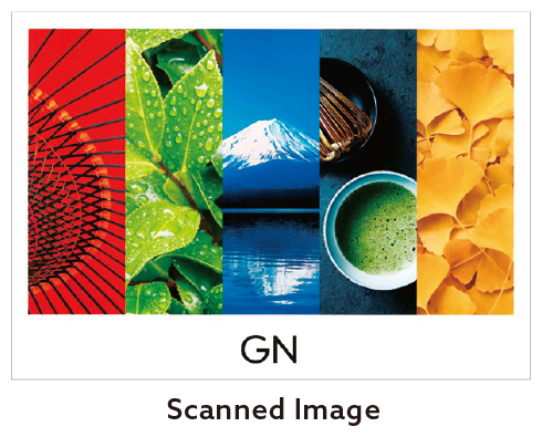 Scanned image demonstrating high-accuracy color reproduction by Scanner HS10000