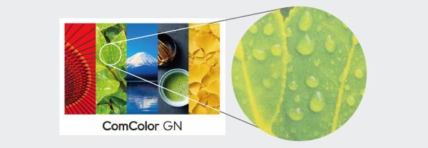 RISO ComColor GN print quality demonstration showing detailed magnification of vivid color output