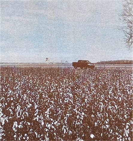 『ミシシッピ ブルース旅』ブルースのルーツを求めてアメリカに。綿花畑で遠い昔のブルースマン達に思いを馳せました。