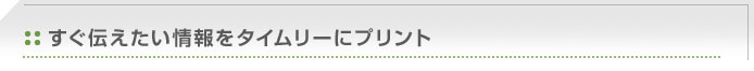 コストを抑えてカラー化