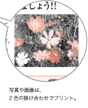 写真や画像は、2色の掛け合わせでプリント。